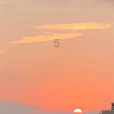 野外生存游戏